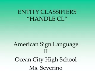 ENTITY CLASSIFIERS “HANDLE CL”