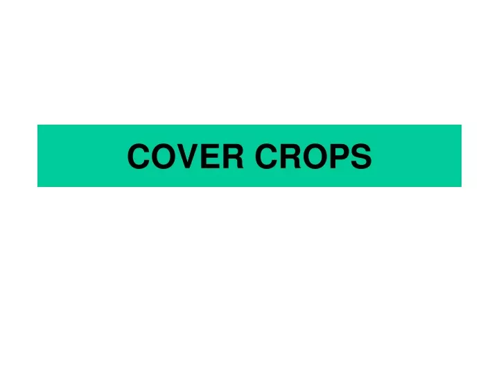 cover crops