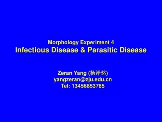 Morphology Experiment 4 Infectious Disease &amp; Parasitic Disease