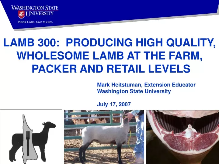 lamb 300 producing high quality wholesome lamb