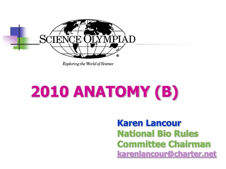 2010 anatomy b