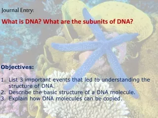 What is DNA? What are the subunits of DNA?