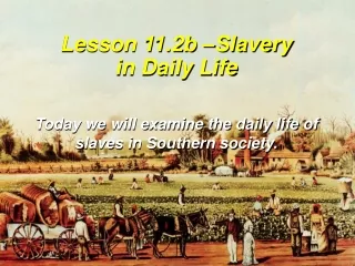 Lesson 11.2b –Slavery in Daily Life