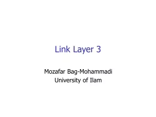 Link Layer 3
