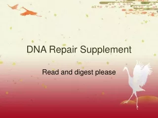 DNA Repair Supplement