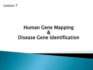 Human Gene Mapping  &amp;  Disease Gene Identification