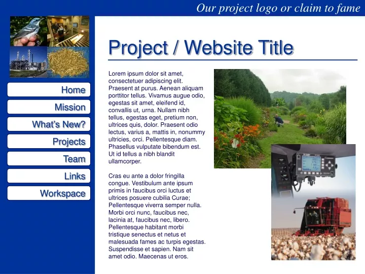 project website title