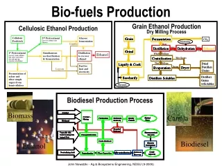 Bio-fuels Production