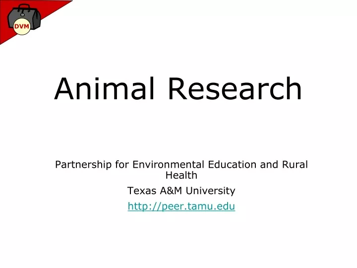 animal research