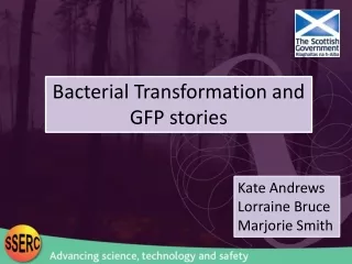 Bacterial Transformation and GFP stories