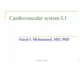 Cardiovascular system L1