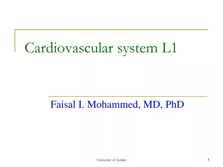 cardiovascular system l1