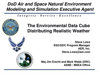 The Environmental Data Cube Distributing Realistic Weather