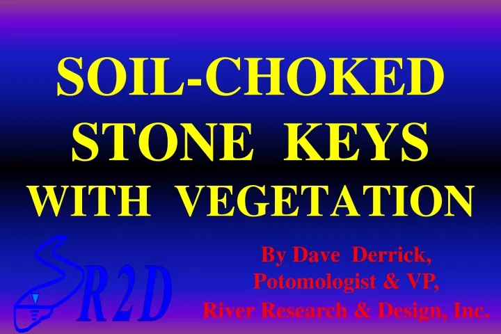 soil choked stone keys with vegetation