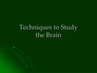 Techniques to Study  the Brain