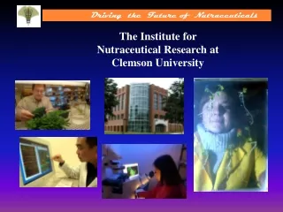 The Institute for  Nutraceutical Research at Clemson University