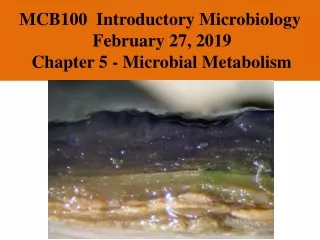 MCB100  Introductory Microbiology  February 27, 2019 Chapter 5 - Microbial Metabolism