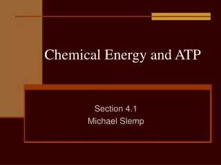 Chemical Energy and ATP