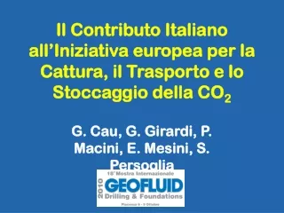 G. Cau, G. Girardi, P. Macini, E. Mesini, S. Persoglia