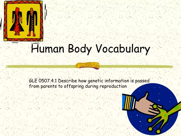 human body vocabulary