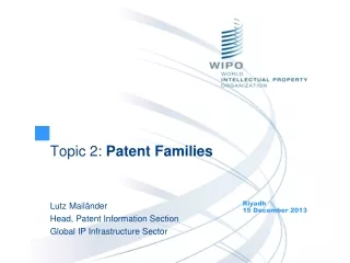 Topic 2:  Patent Families