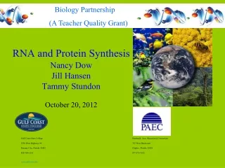 RNA and Protein Synthesis Nancy Dow Jill Hansen Tammy Stundon  October 20, 2012