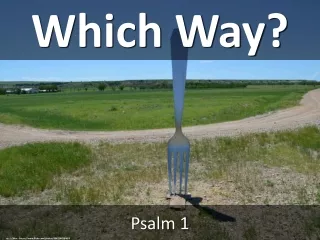 Which Way?