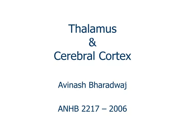 thalamus cerebral cortex