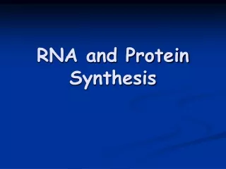 RNA and Protein Synthesis