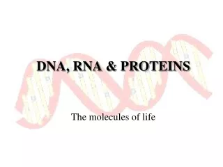 DNA, RNA &amp; PROTEINS