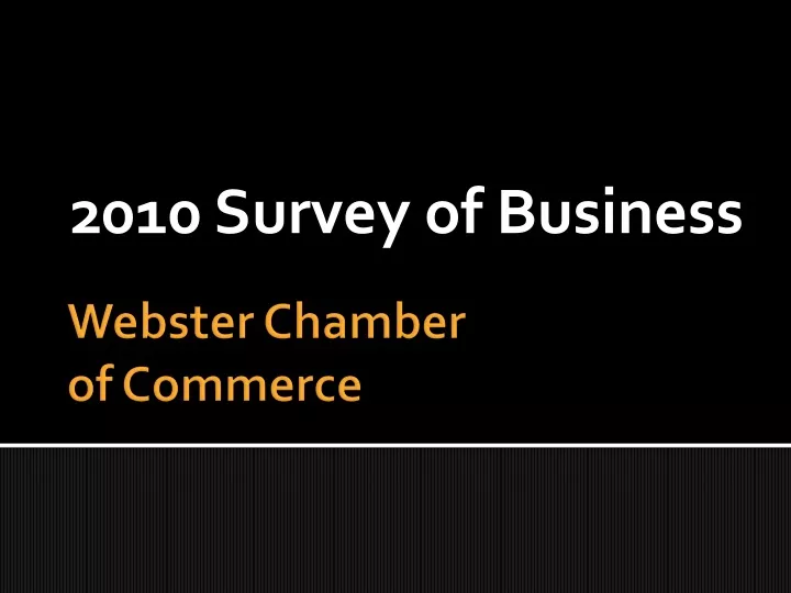 2010 survey of business