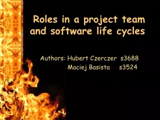 Roles in a project team    and software life cycles