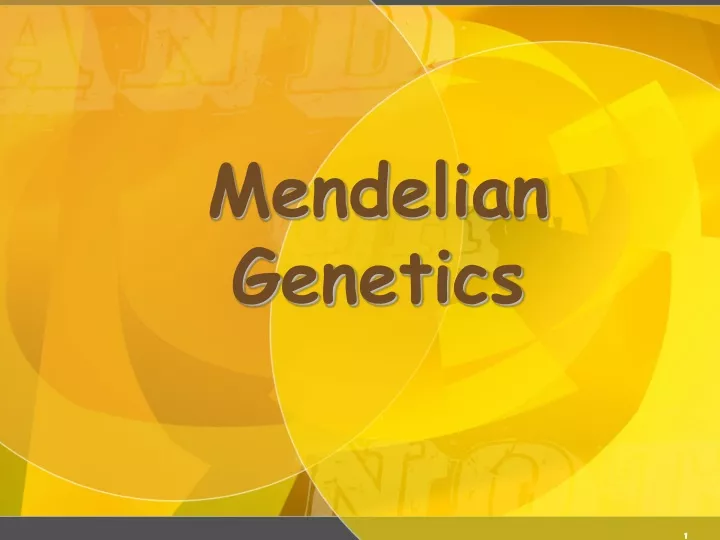 mendelian genetics