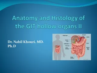 Anatomy and Histology of the GIT hollow organs II