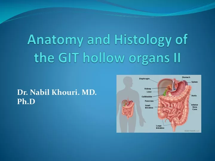 anatomy and histology of the git hollow organs ii