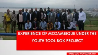Experience of Mozambique under the youth tool box project