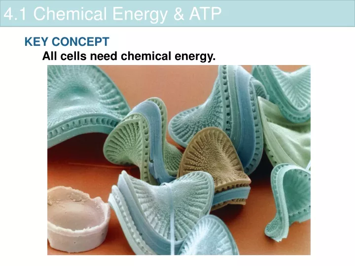 4 1 chemical energy atp