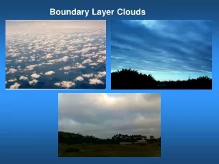 Boundary Layer Clouds