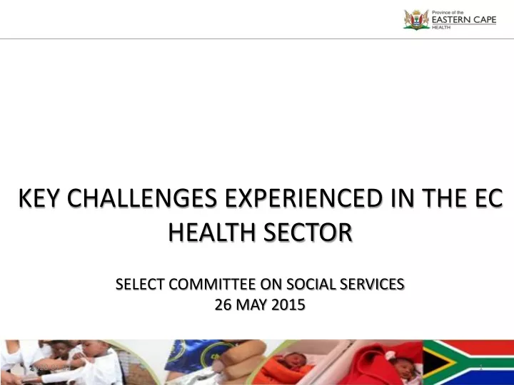 key challenges experienced in the ec health sector select committee on social services 26 may 2015