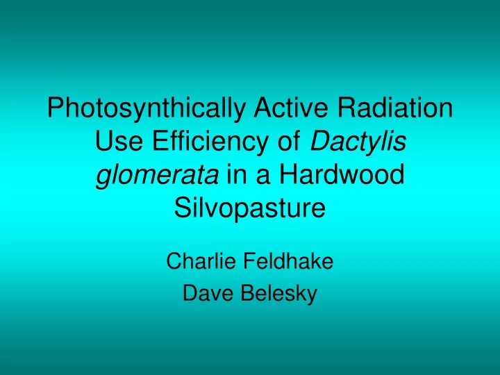 photosynthically active radiation use efficiency of dactylis glomerata in a hardwood silvopasture