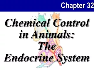 Chemical Control in Animals: The Endocrine System