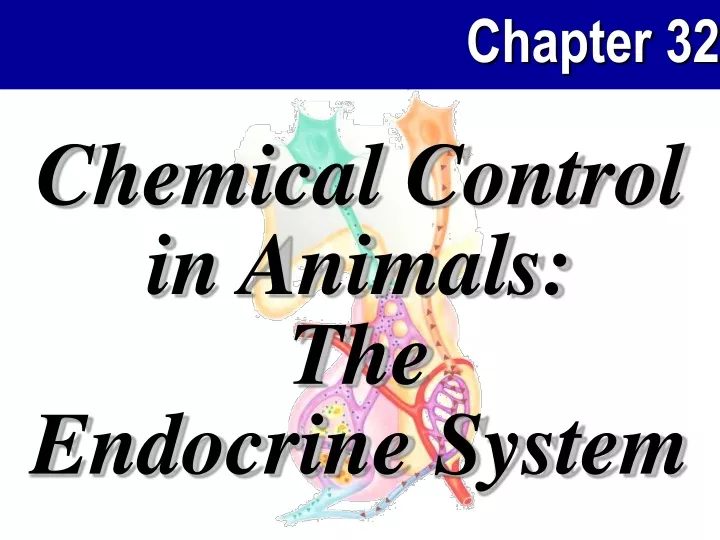 chemical control in animals the endocrine system