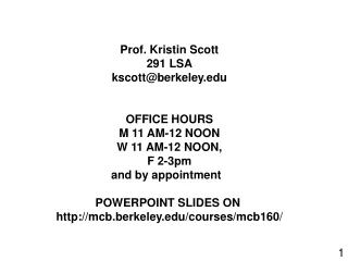 Prof. Kristin Scott 291 LSA kscott@berkeley OFFICE HOURS M 11 AM-12 NOON W 11 AM-12 NOON,