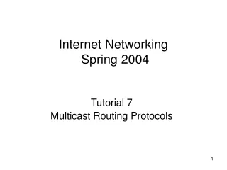 Internet Networking   Spring 2004