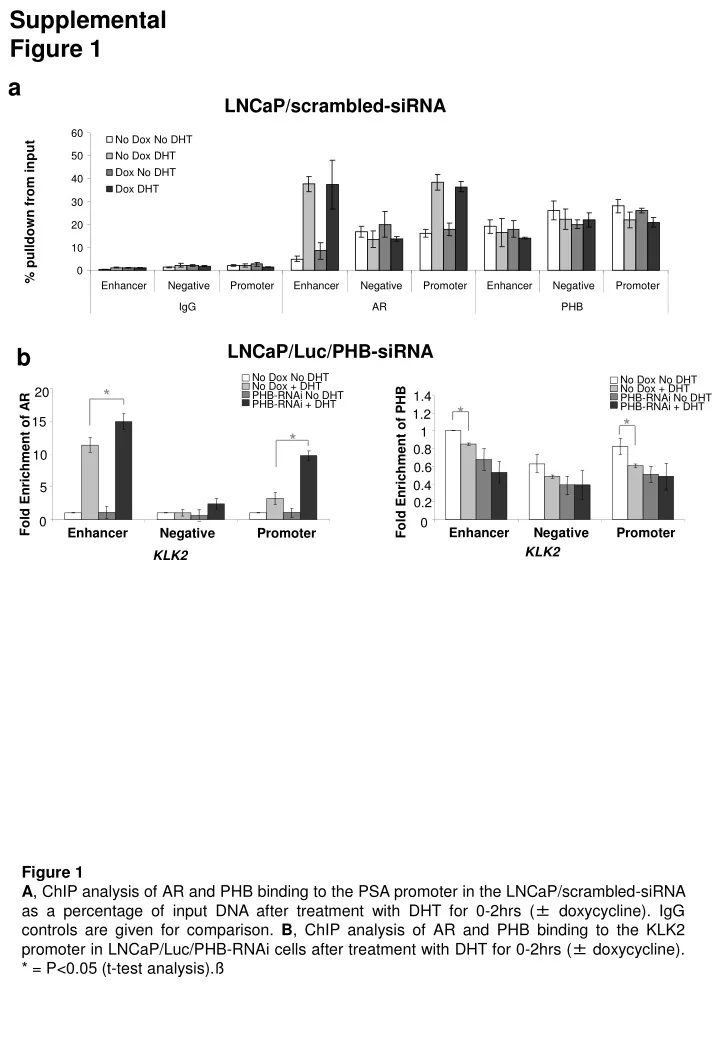 supplemental figure 1