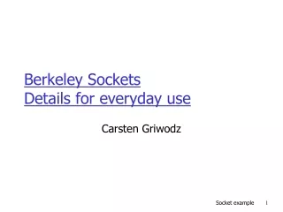 Berkeley Sockets Details for everyday use