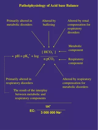 Patholphysiology of Acid base Balance