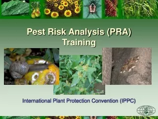 Pest Risk Analysis (PRA) Training