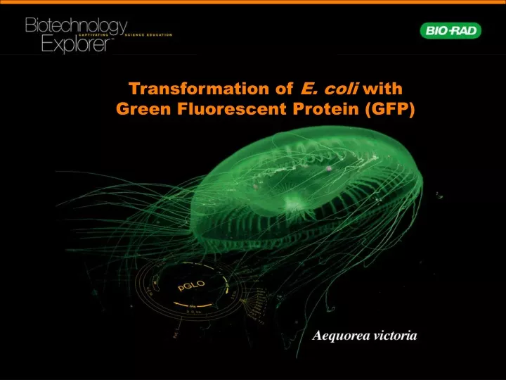 transformation of e coli with green fluorescent