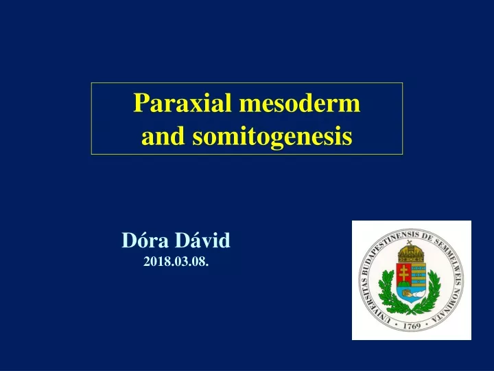 paraxial mesoderm and somitogenesis